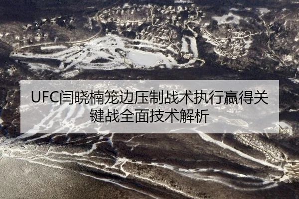 yan-xiao-nan-long-bian-ya-zhi-zhan-shu-zhi-xing-ying-de-guan-jian-zhan-quan-mian-ji-shu-jie-xi-2-972.jpg