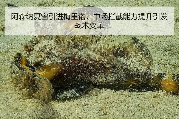 a-sen-na-xia-chuang-yin-jin-mei-li-nuo-zhong-chang-lan-jie-neng-li-ti-sheng-yin-fa-zhan-shu-bian-ge-2-185.jpg