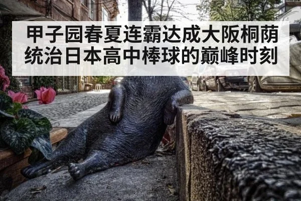 甲子园春夏连霸达成大阪桐荫统治日本高中棒球的巅峰时刻