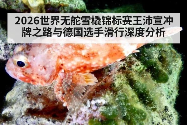 2026世界无舵雪橇锦标赛王沛宣冲牌之路与德国选手滑行深度分析